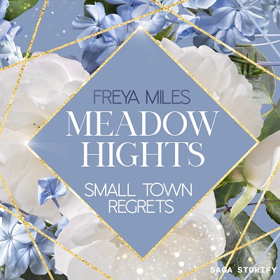 Meadow Hights Small Town Regrets AUDIO