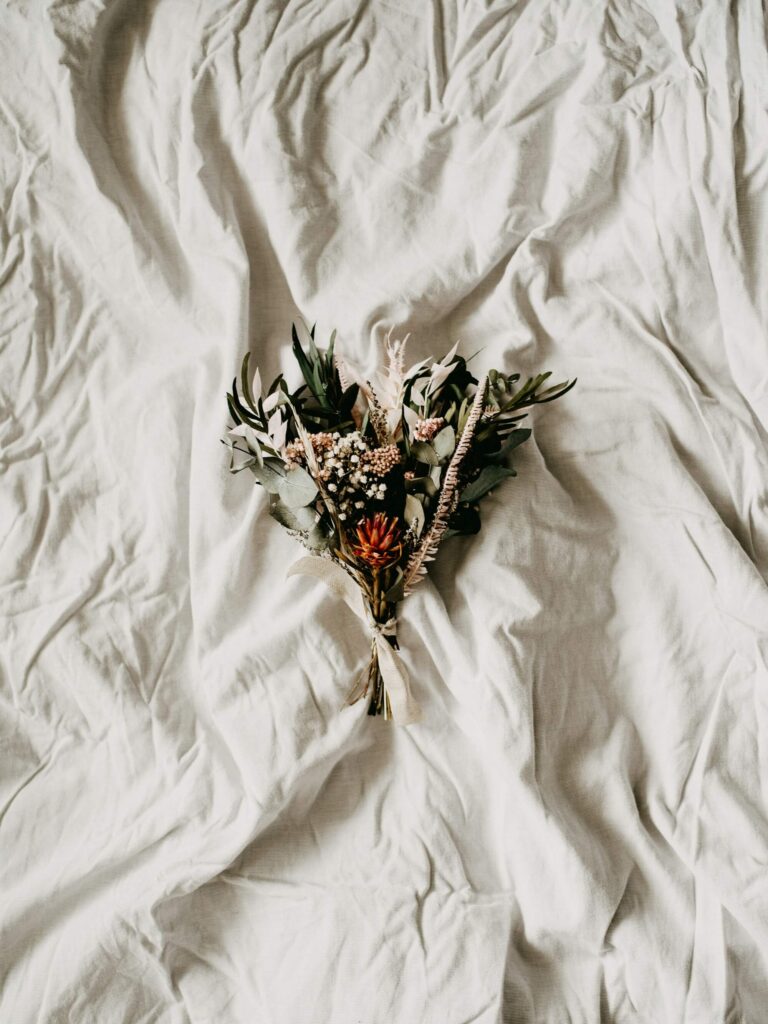 annie spratt 7jKyakBu3vM unsplash 1 1