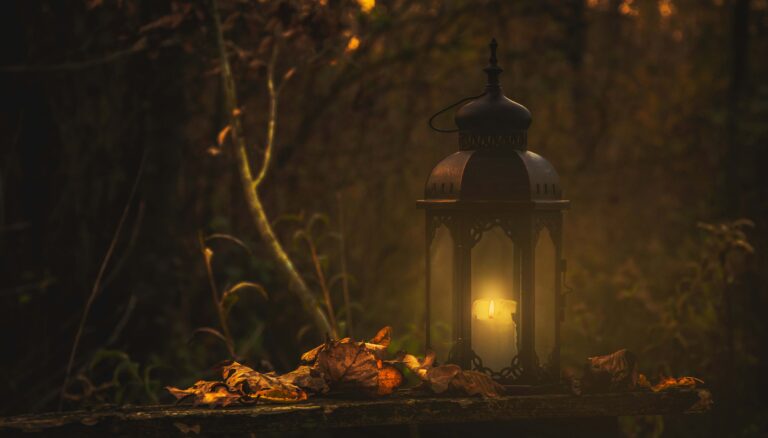 Fantasy bei Saga Storify